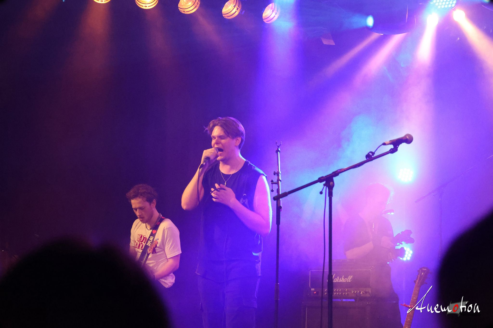 ElephantsFalling (44)